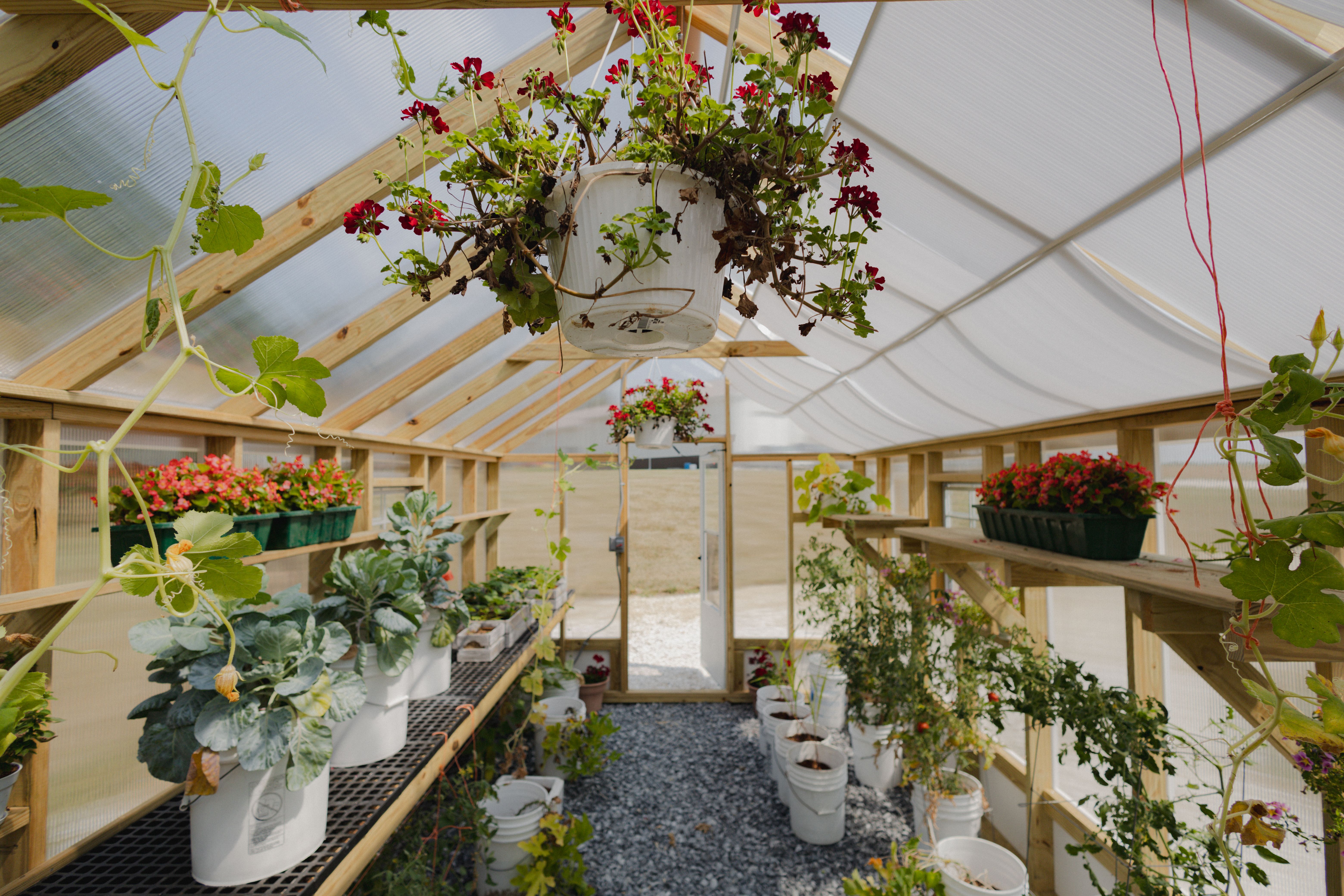 A Frame Greenhouse