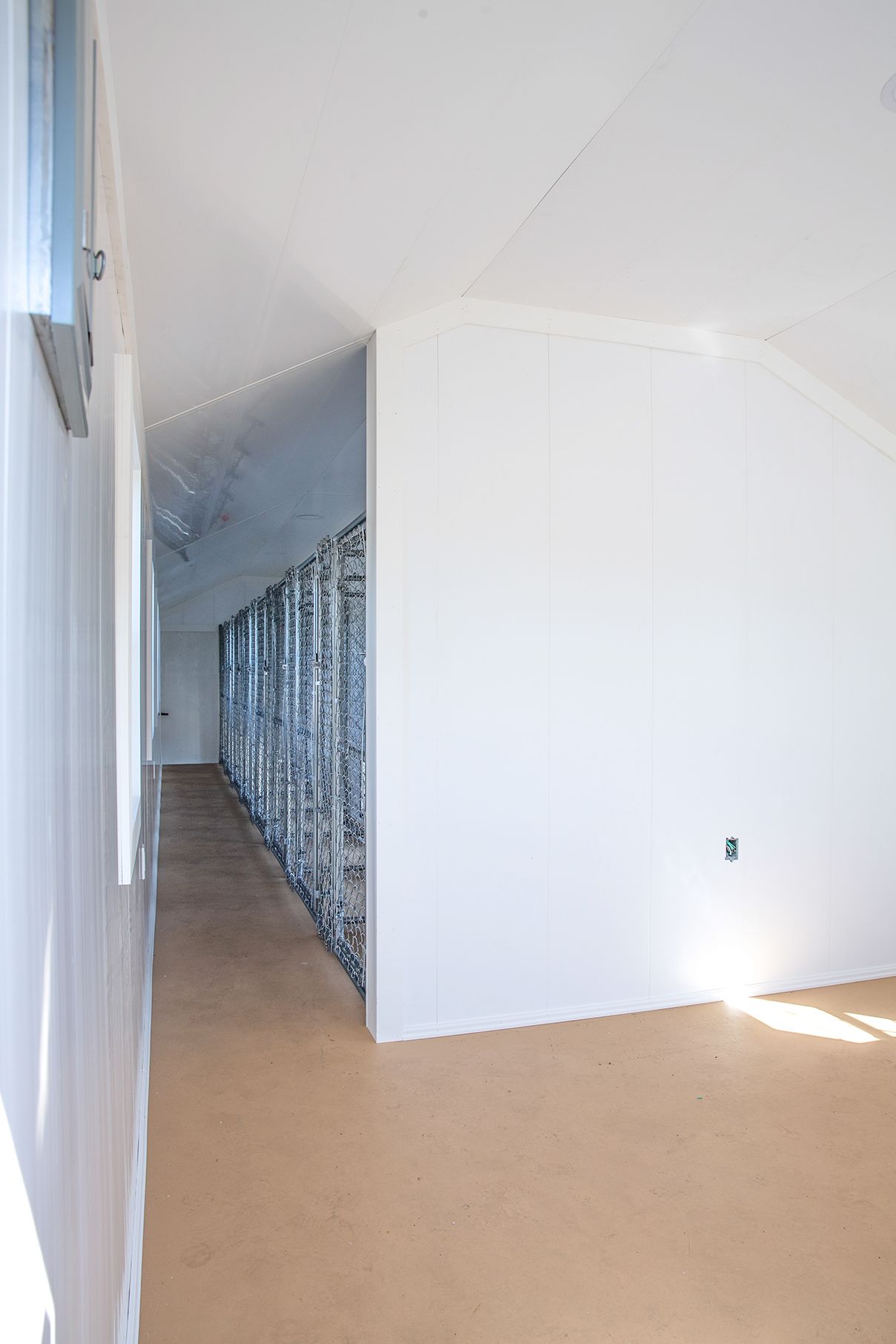 12x42 Commercial Kennel Interior