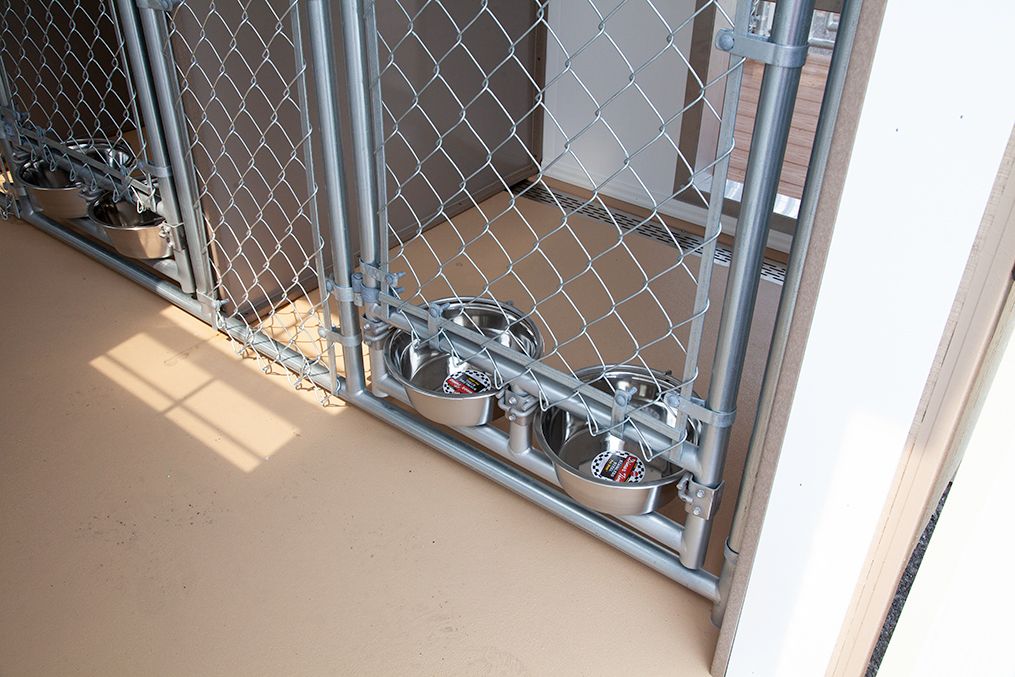 12x16 Commercial Kennel Interior