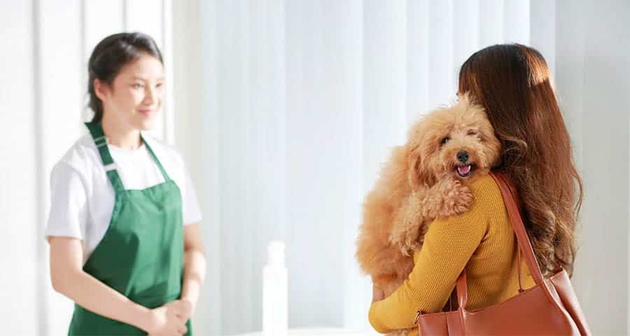 Dog with Owner