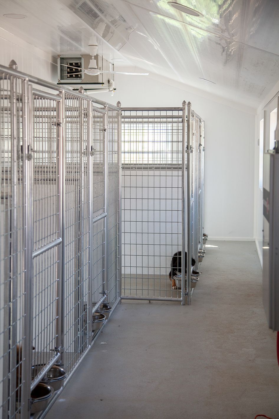 20x60 Commercial Kennel Interior