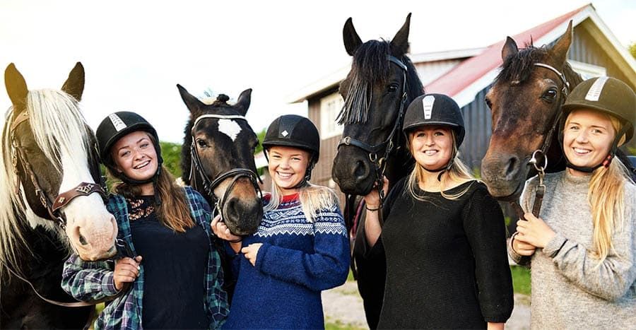 Friends with Horses
