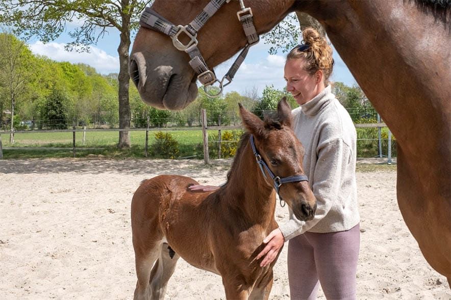 Woman with Baby Horse