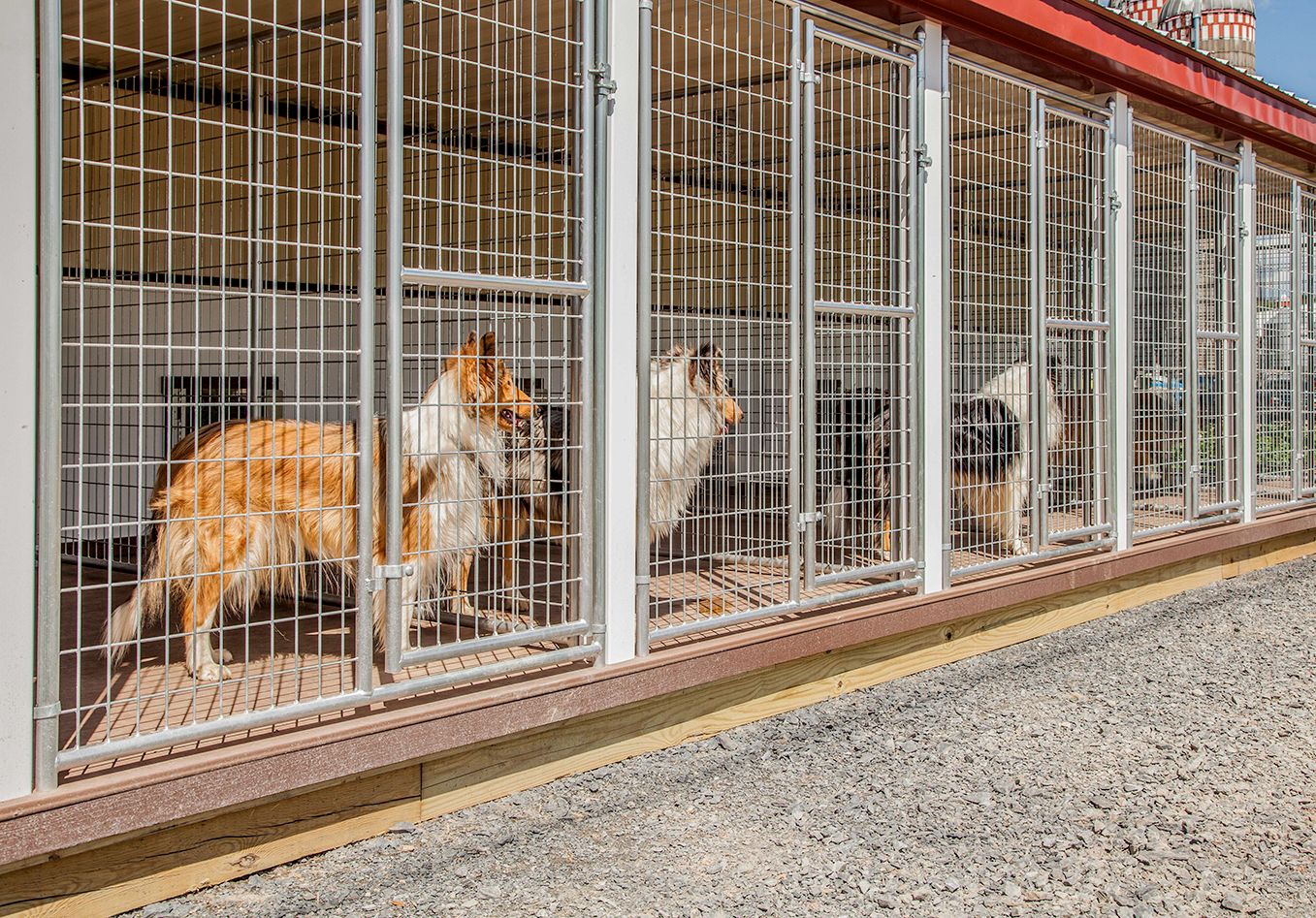 20x60 Commercial Kennel