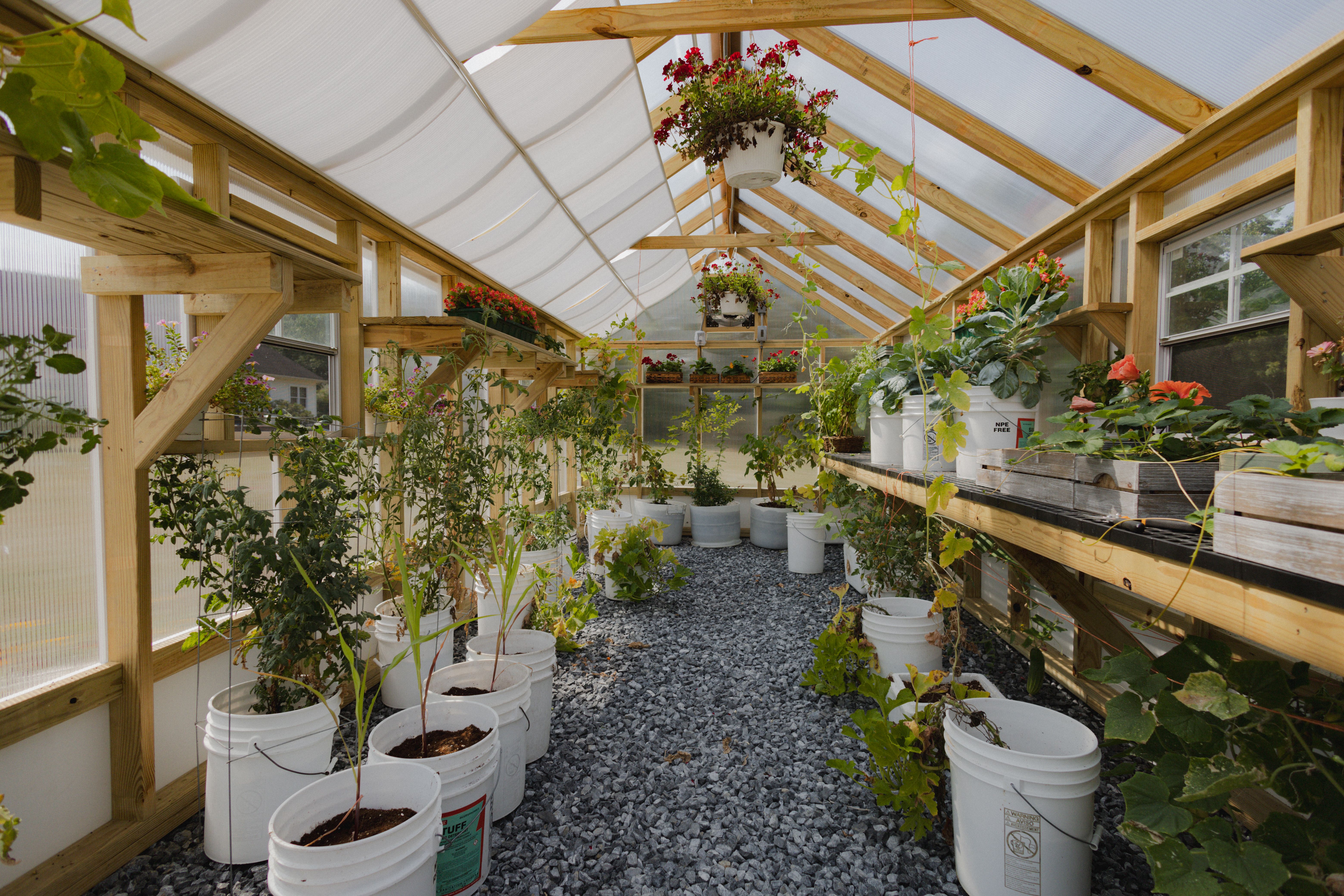 A Frame Greenhouse